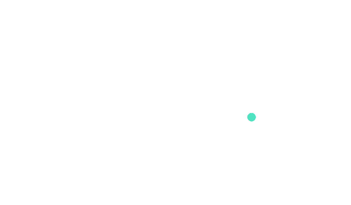Logo partnera cognizone