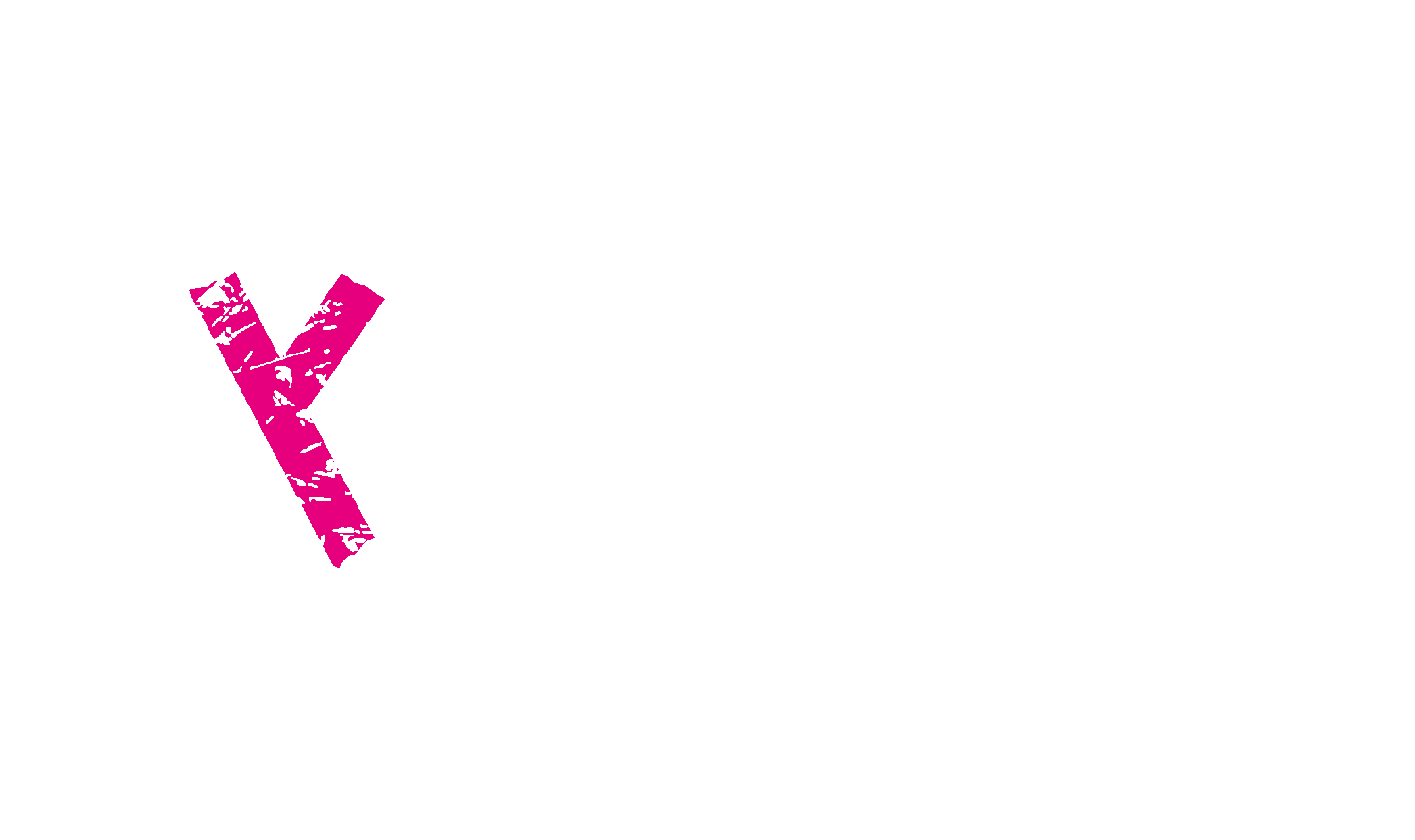 Logo partnera dygestor
