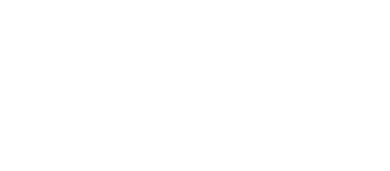 Logo partnera Native